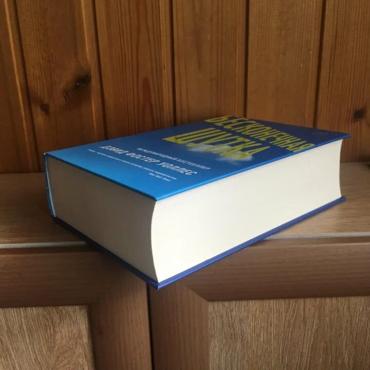 дэвид фостер уоллес. Infinite jest дэвида фостер-уоллеса. дэвид фостер уоллес писатель. бесконечная шутка дэвида уоллеса. бесконечная шутка дэвида уоллеса.