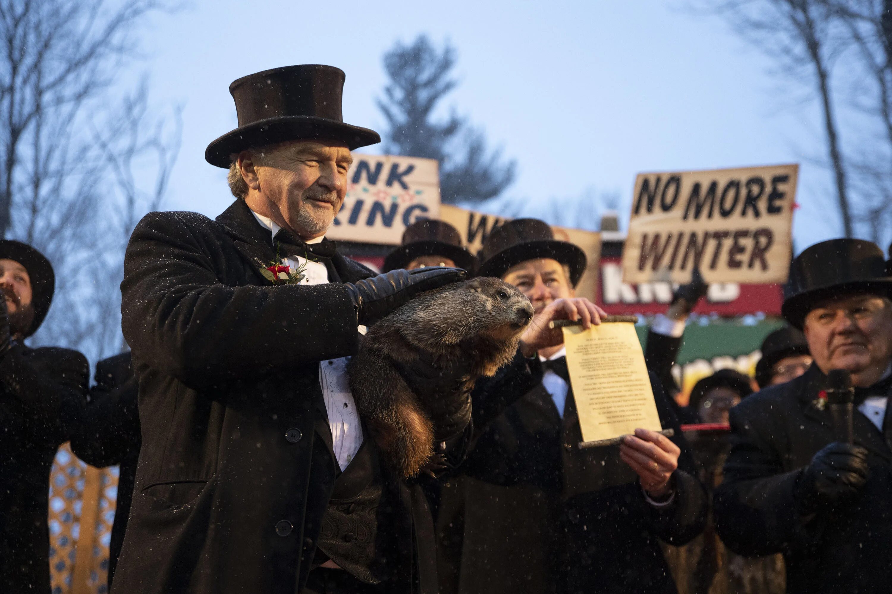 Суть дня сурка. День сурка (Groundhog Day). Сурок Панксатони Фил. Панксатони Фил день сурка.