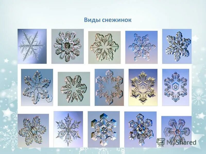Много снежинок. Какого цвета бывают снежинки. Классификация форм снежинок. Снежинки кеплера. Какого цвета бывают снежинки.
