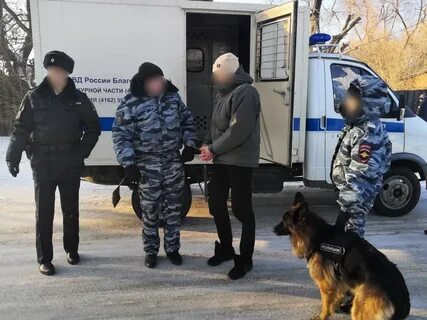 Амурские новости благовещенск сегодня последние