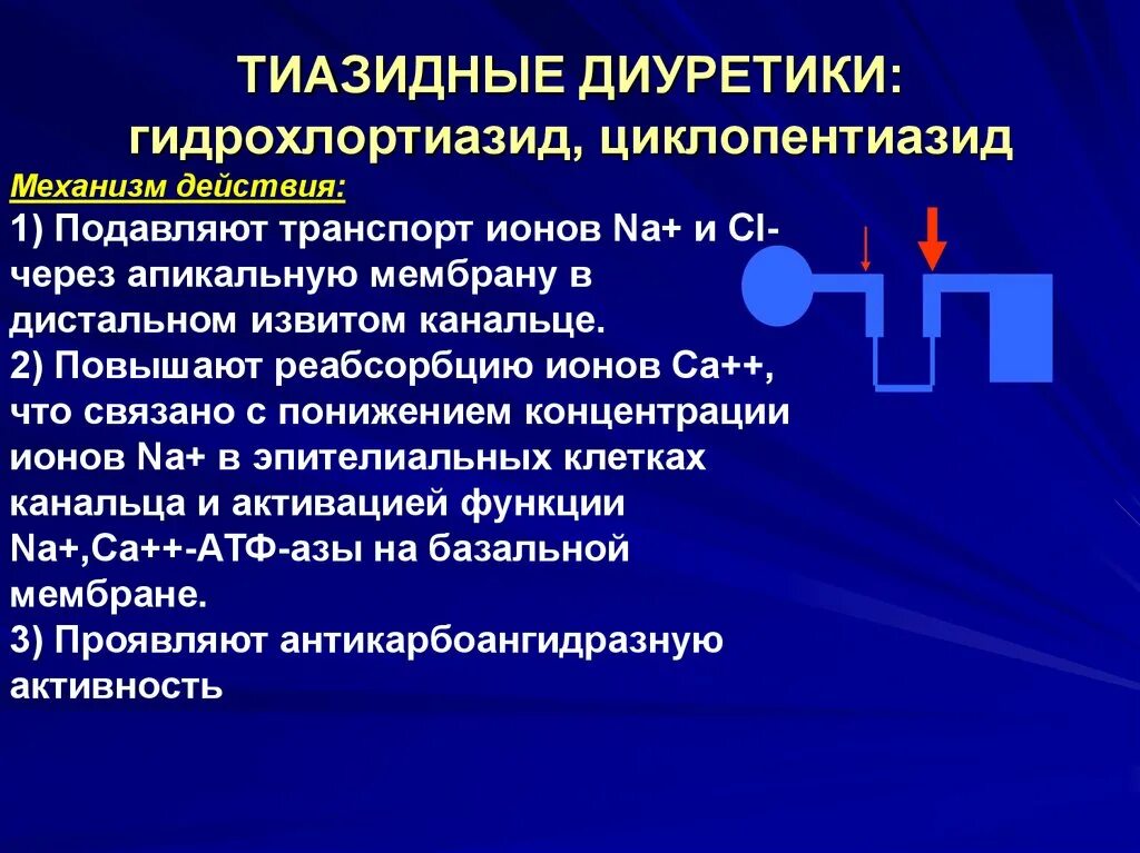 Механизм действия тиазидовых диуретиков. Механизм антигипертензивного действия тиазидоподобных диуретиков. Механизм диуретического действия гидрохлортиазида:. Тиазидные диуретики механизм действия. Диуретики группы препаратов