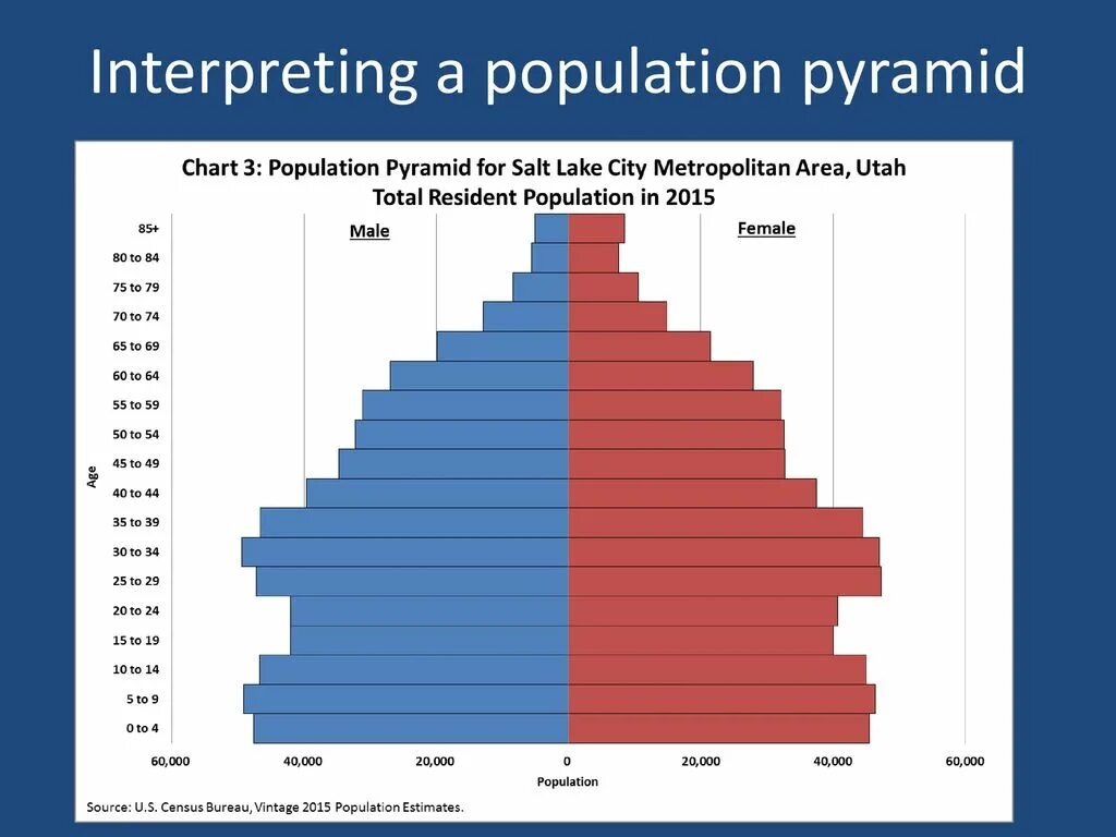 Population pyramid. Population Chart. Increasing population Pyramid. Population Pyramid прикольные пирамиды.
