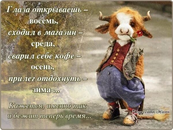 глаза открываешь восемь сходил в магазин среда сварил себе кофе осень. сварил себе кофе осень. глаза открываешь восемь сходил в магазин среда. глаза открываешь восемь стих. сходил в магазин зима.
