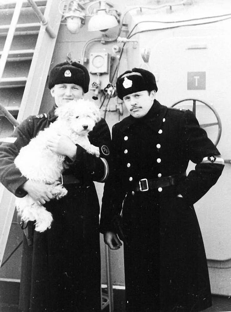 дикие собаки на улицах. собачья вахта. студия военных художников им грекова. собачья вахта на судне. сытов александр капитонович художник.