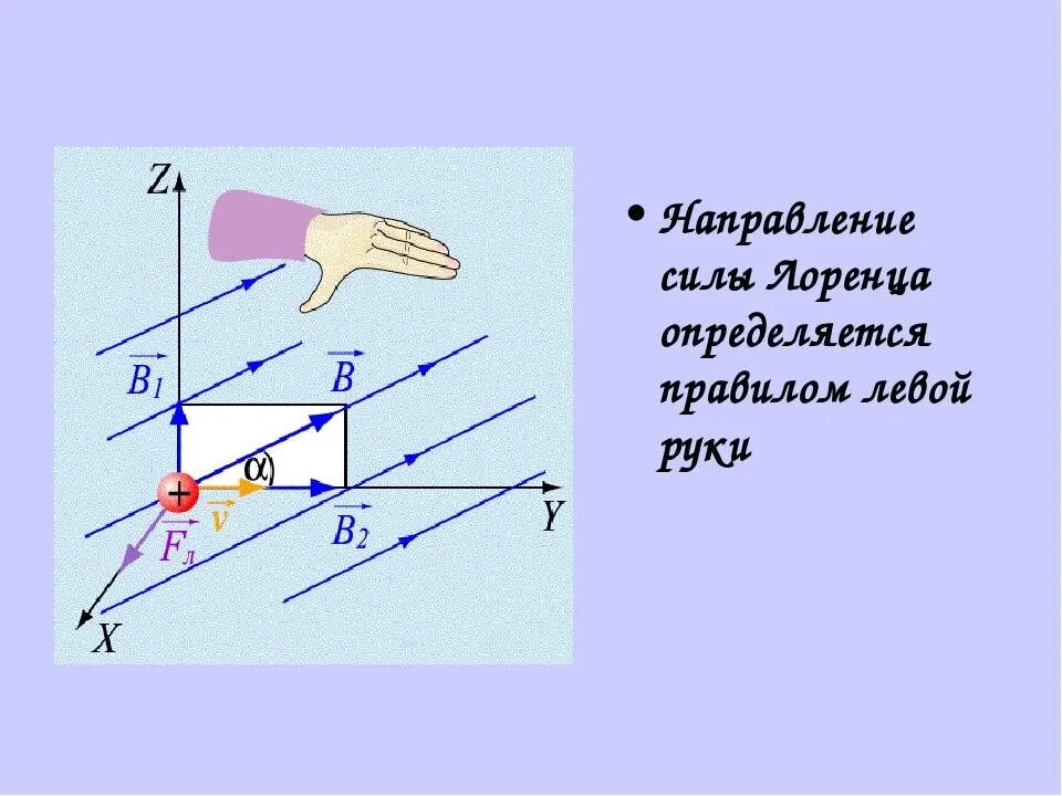 Правило определения направления. Сила лоренца правило левой руки формула. направление силы лоренца правило левой руки. сила лоренца направление силы. направление силы лоренца определяется по правилу.