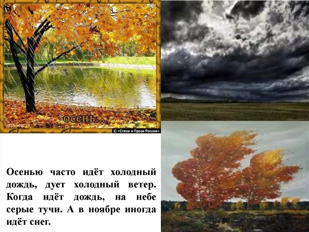 Дует сильно холодный ветер. Холодный ветер осень. Осенью часто идут дожди. Осенью дует холодный ветер. Осень ветер холодно.