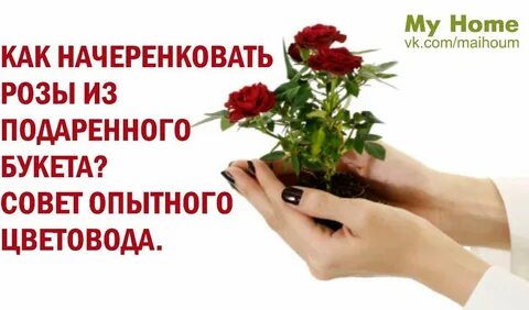 Советы опытного
