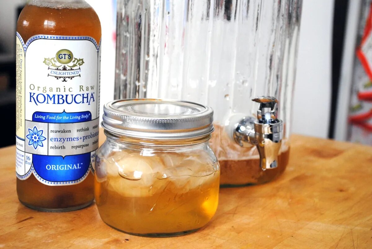 Чайный гриб чаевик. Комбуча гриб. Комбуча польза. Чайный гриб каркаде. Комбуча гриб.