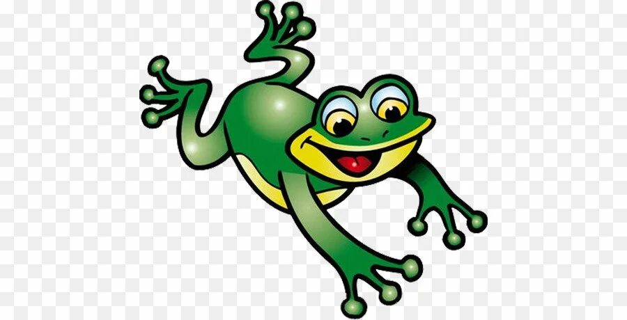 A frog 2