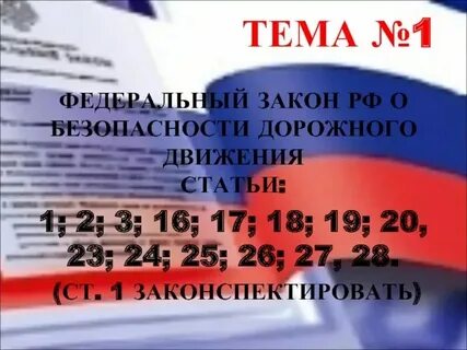 Статья 23 фз 196