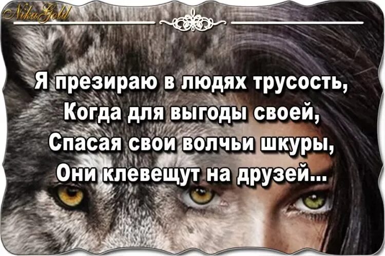 Трус цитаты. Высказывания о трусости. Фразы про трусость. Высказывания про трусость мужчин.