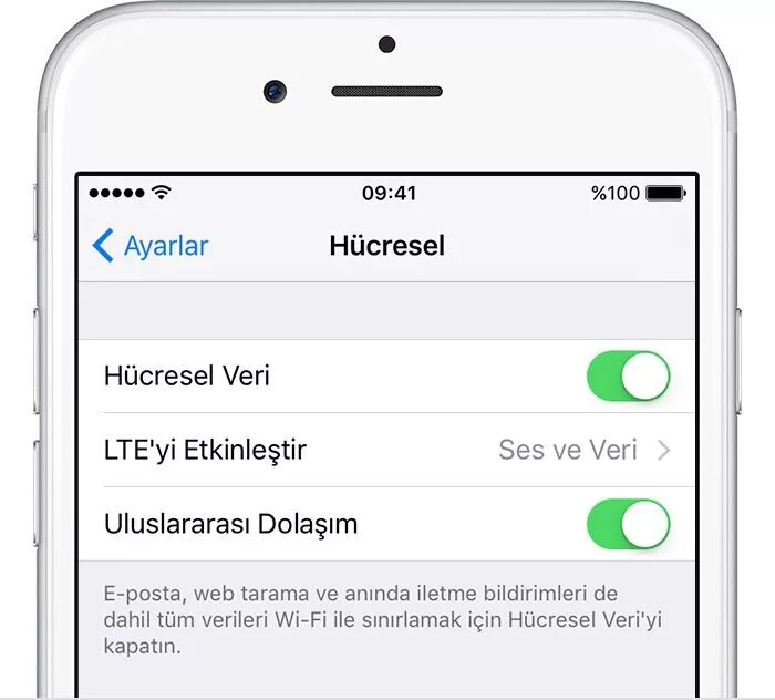 Мобильного интернета iphone. Иконка вай фай айфон. LTE что это в айфоне. Сотовые данные в айфоне что это. Iphone мобильный интернет.