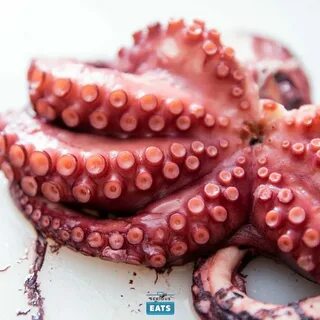Осьминог сайт