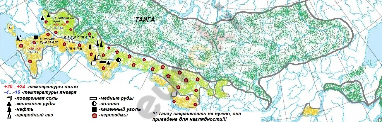 Лесостепь на контурной карте. Зона степи и лесостепи на контурной карте. Нанесите на контурную карту лесостепную и степную зоны. Природные ресурсы лесостепи.