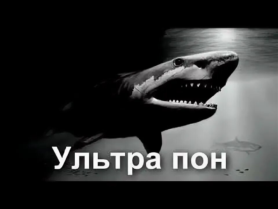 Тест на знание мемов