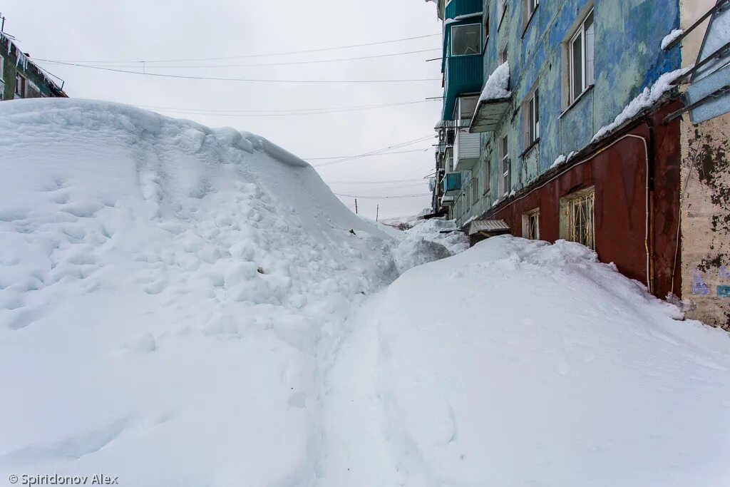 После пурги. Петропавловск-Камчатский после пурги. Петропавловск-Камчатский снегопад. Снег в Петропавловске-Камчатском. Метель в Петропавловске Камчатском.