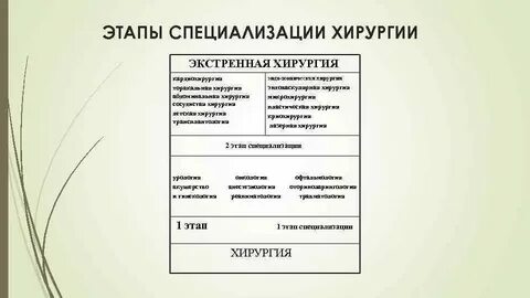 Этапы специализации