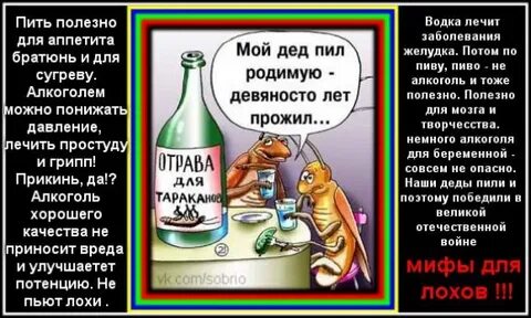Сперва выпьем