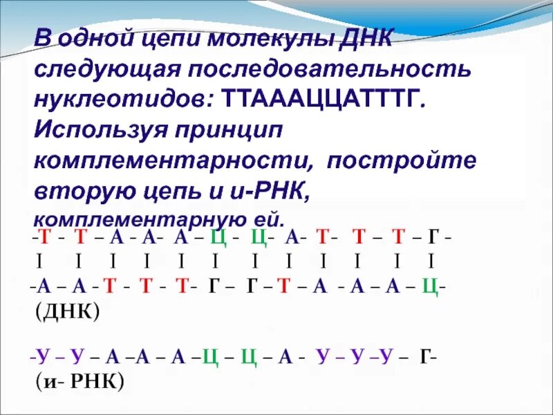 Комплементарность ДНК И РНК. Принцип комплементарности ДНК И РНК. Цепочка ДНК А-Ц-Г-Т-А-Г-Ц-Т-А-Г вторая цепь. Принцип комплементарности НК.