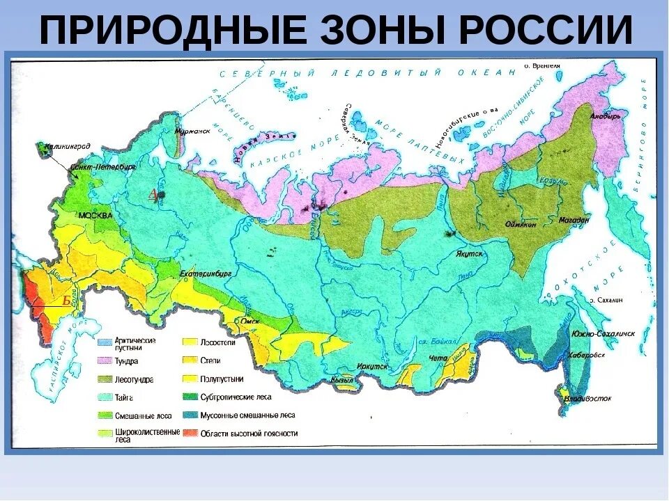 Какой тип растительности расположен к северу