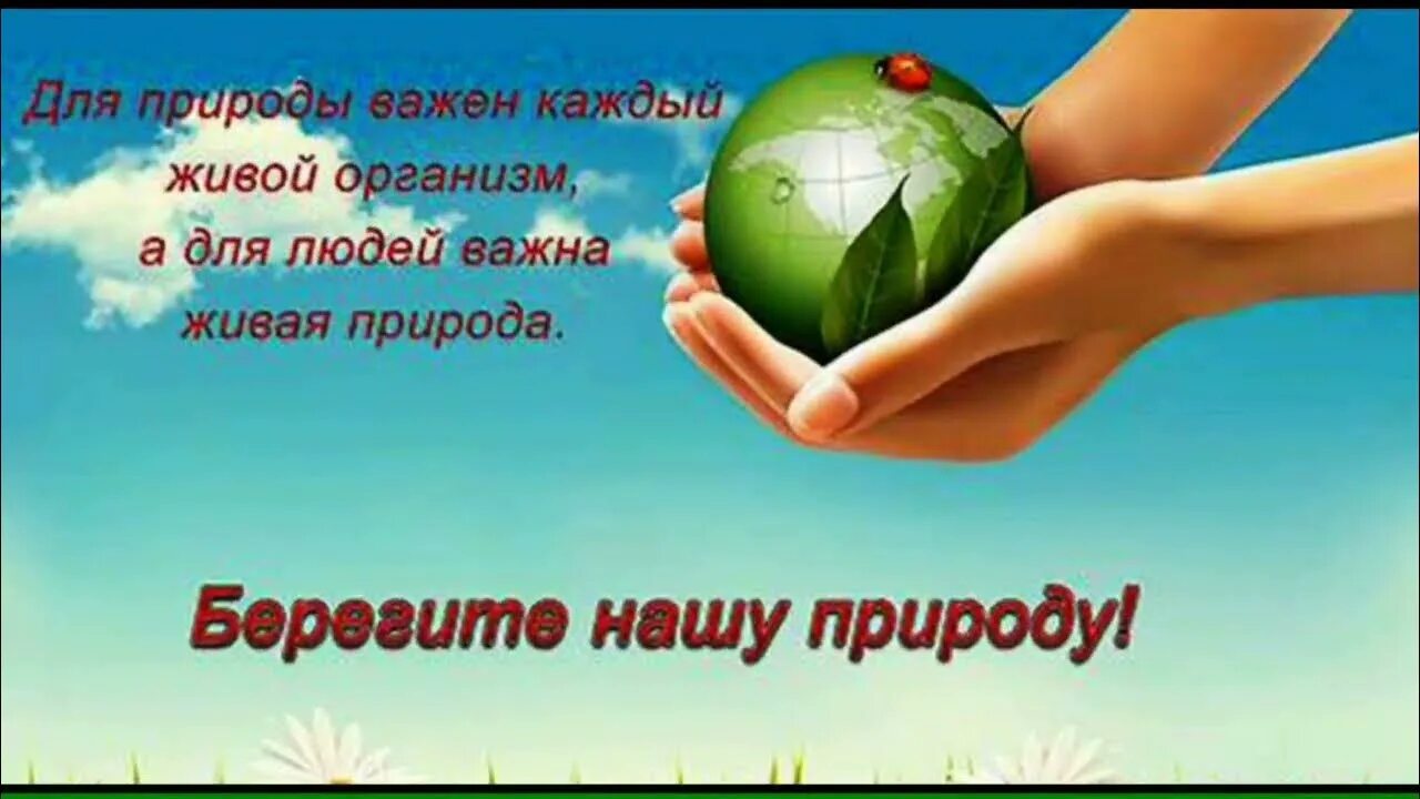 Предложение о защите природы. Берегите природу. Защита природы. Сохраним природу. Лозунг береги природу.