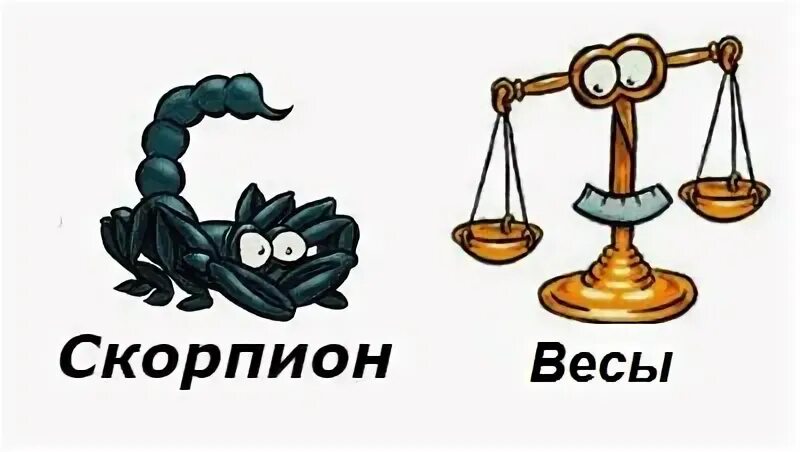 Мужчина весы и женщина скорпион совместимость