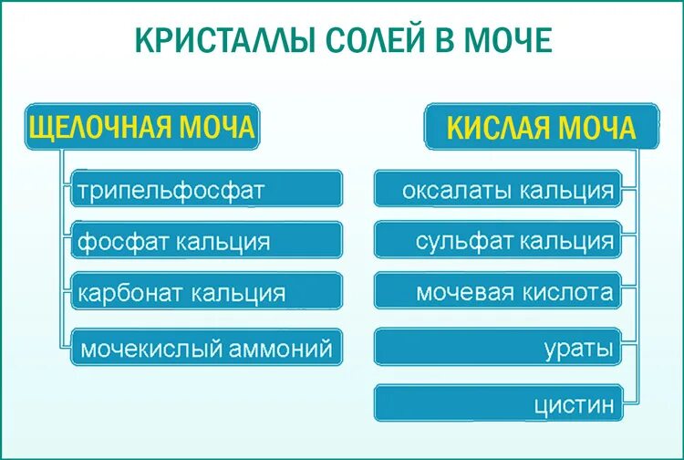 Высокая соль в моче. Кристаллики соли в моче. Оксалаты и фосфаты в моче. Кристаллы фосфатов в моче. Фосфаты в моче, Кристаллы оксалаты.