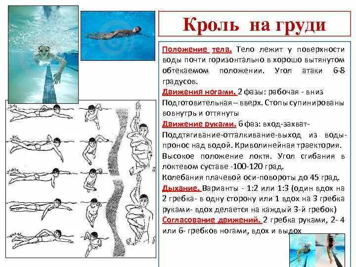 Методика обучения кролю. Опишите положение тела пловца при плавании способом Кроль на груди.. Фазы движений при плавании кролем на груди. Фазы движений рук в плавании кролем. Кроль плавание кратко.