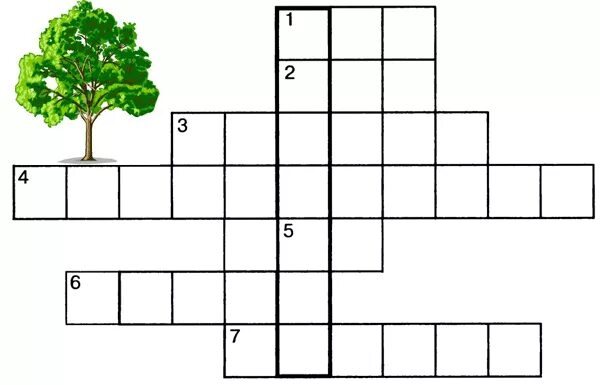 Кроссворд про деревья для детей. Кроссворд деревья для дошкольников. Кроссворд по деревьям. Кроссворд по теме деревья. Плоды чудо дерево сканворд 5