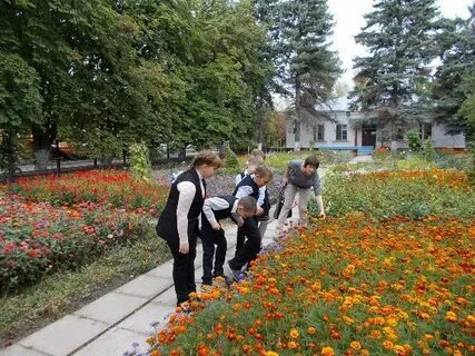 Станция юннатов орел
