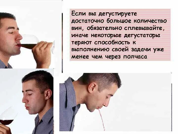 Как называется человек который дегустирует вино