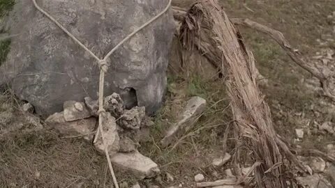 Видео силке