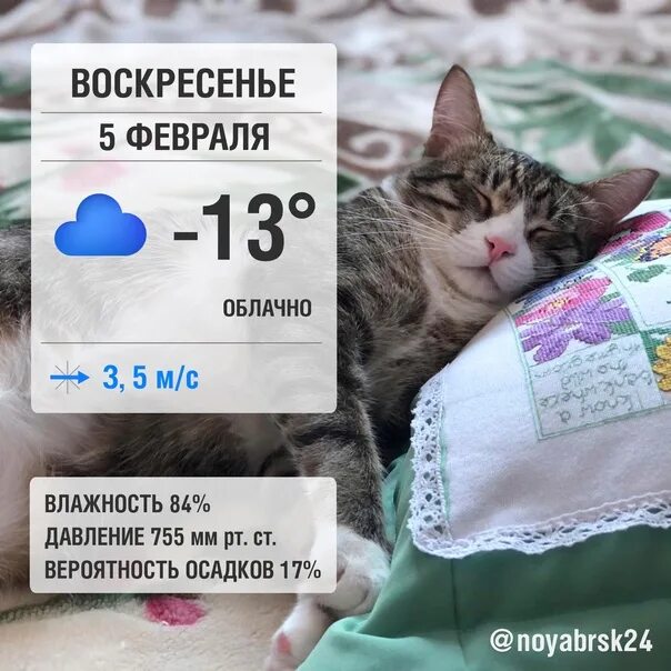 С добрым утром отличного дня. 6 февраля народные приметы. Доброе утро 6 февраля 2024. Доброе утро 6 февраля 2024. Доброе утро девушке картинки красивые необычные.