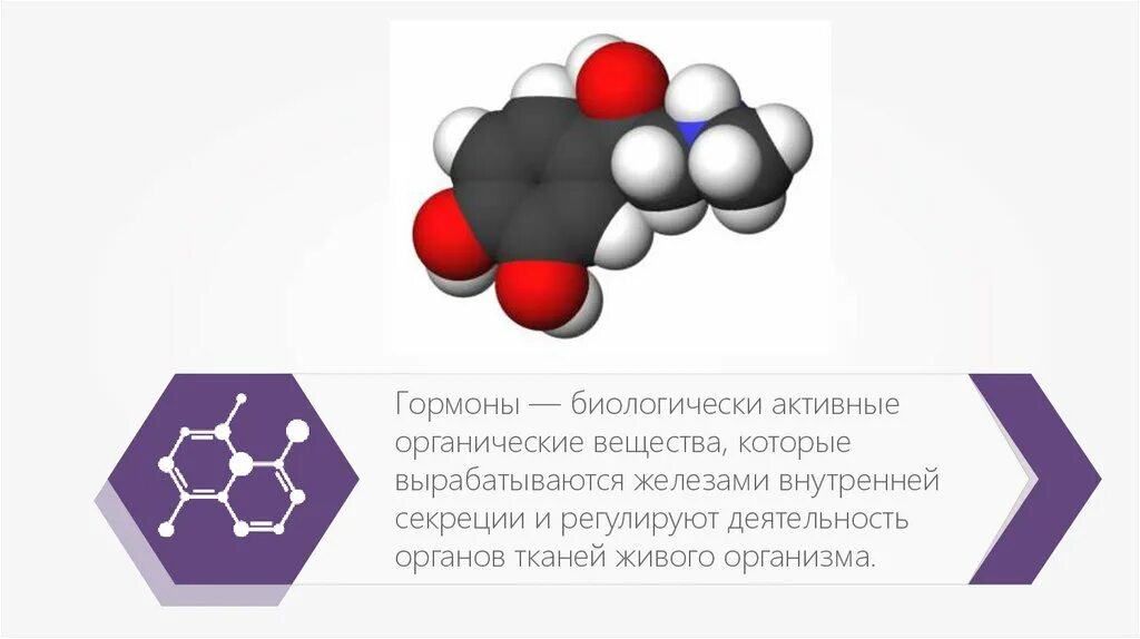 Биологически активные органические соединения. Биологически активные вещества: ферменты, витамины и гормоны. Биологические активные соединения ферменты витамины гормоны. Гормоны биологически активные вещества вырабатываемые. Биологически активные вещества ферменты.