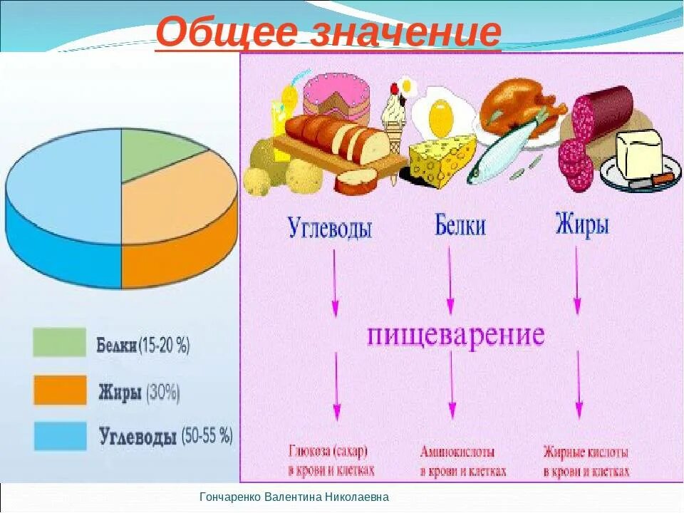 Углеводно белковая пища. Схема питания белков жиров углеводов. Схема питания углеводы белок жиры. Схема правильного питания белки жиры углеводы. Презентация белки жиры углеводы.