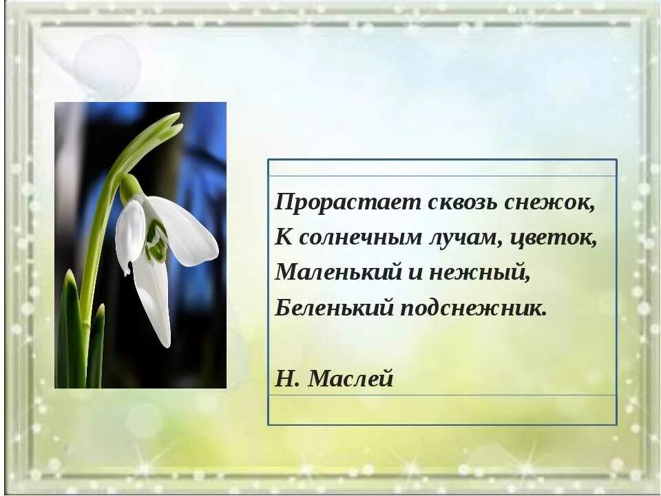 Какие дни весной ответ. Стих про Подснежник. Стих про Подснежник для детей. Детские стихи про Подснежник. Стихотворение про Подснежник для детей.