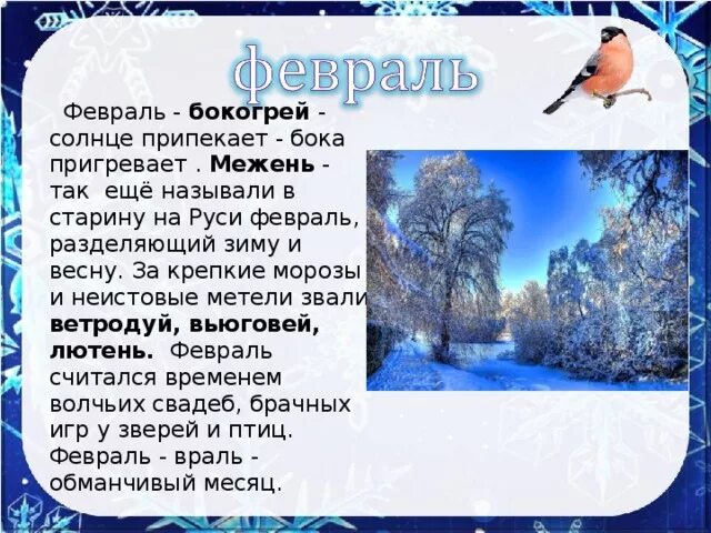 Зимний месяц февраль. Февраль в старину. Информация о феврале месяце для детей. Название зимних месяцев. Полный месяц февраля