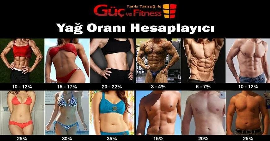 4 жира в организме. % жира в организме. Процент подкожного жира у женщин. 15% жира. Процент жира в организме мужчины.