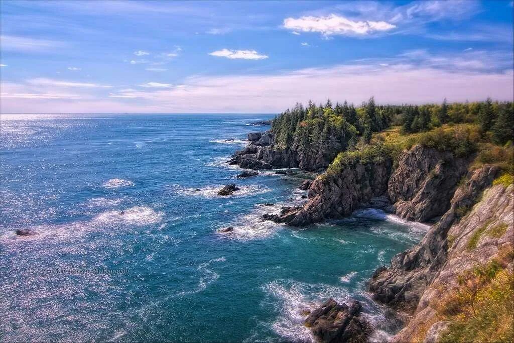 Море на северо востоке австралии. Омываемые берега материке австралия. Восточное побережье омывает. Восточное побережье омывает. Моря омывающие австралию.