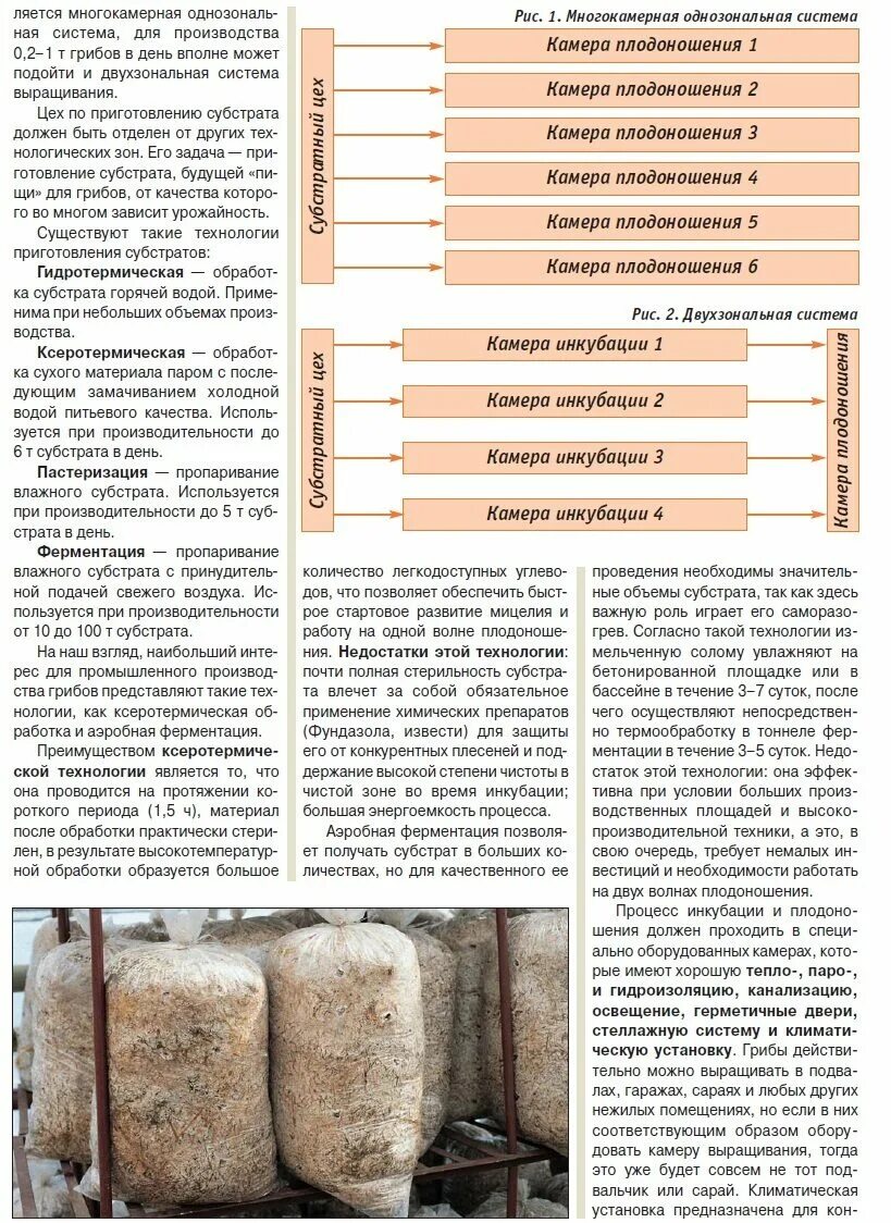 Выращивание грибов инструкция