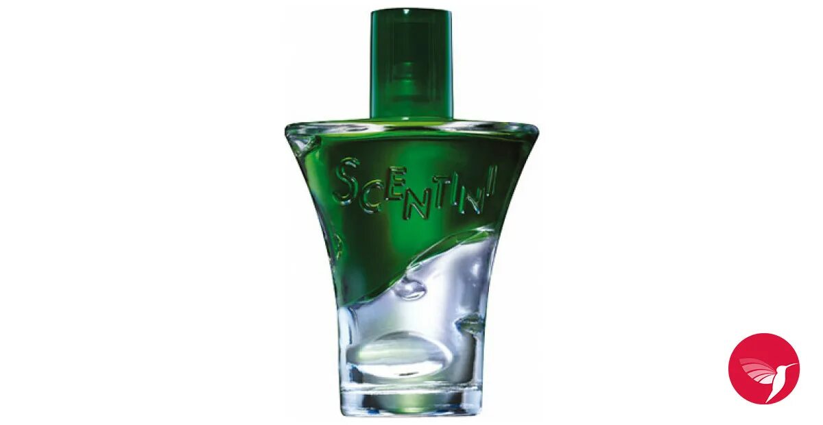 Scentini Avon туалетная вода. Scentini духи эйвон. Духи эйвон Scentini Nights. Туалетная вода Scentini Avon вода.