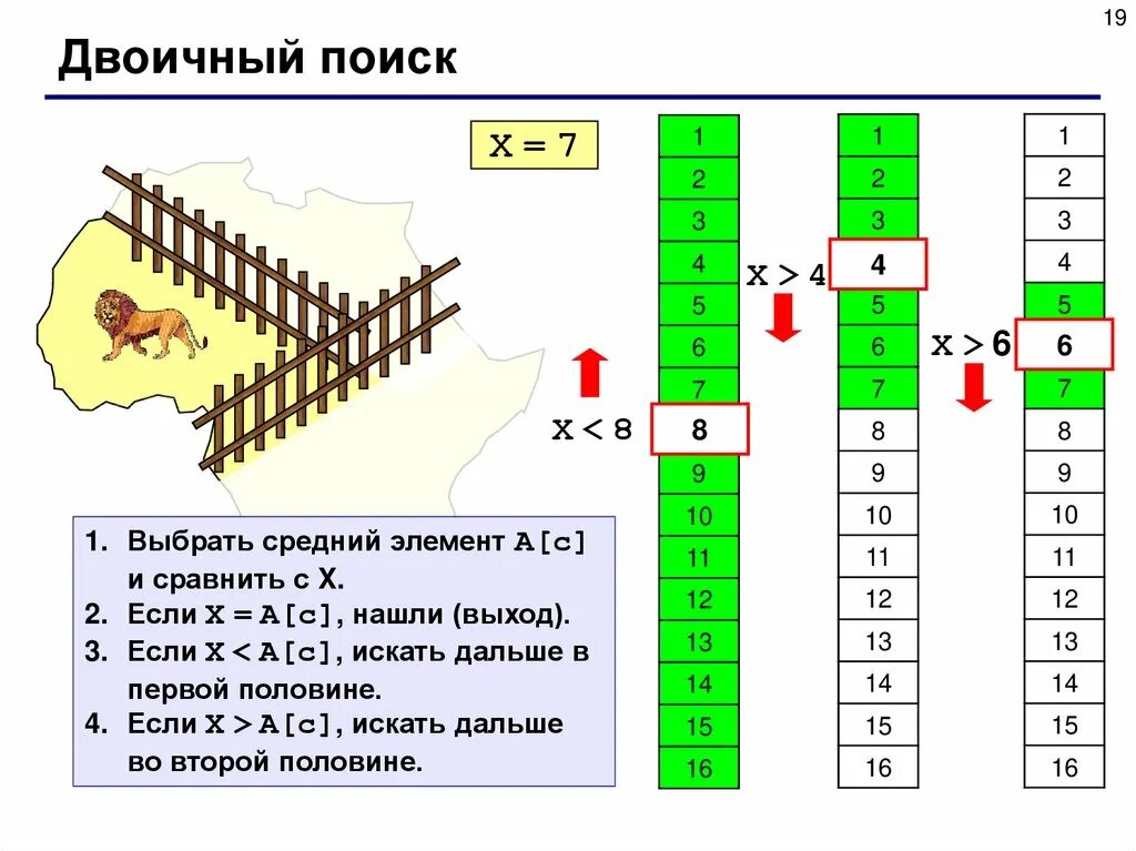 Бинарный поиск элемента массива. Средний элемент. бинарные массивы данных. поляков сортировка массивов. сортировка массивов двоичный поиск в массиве.