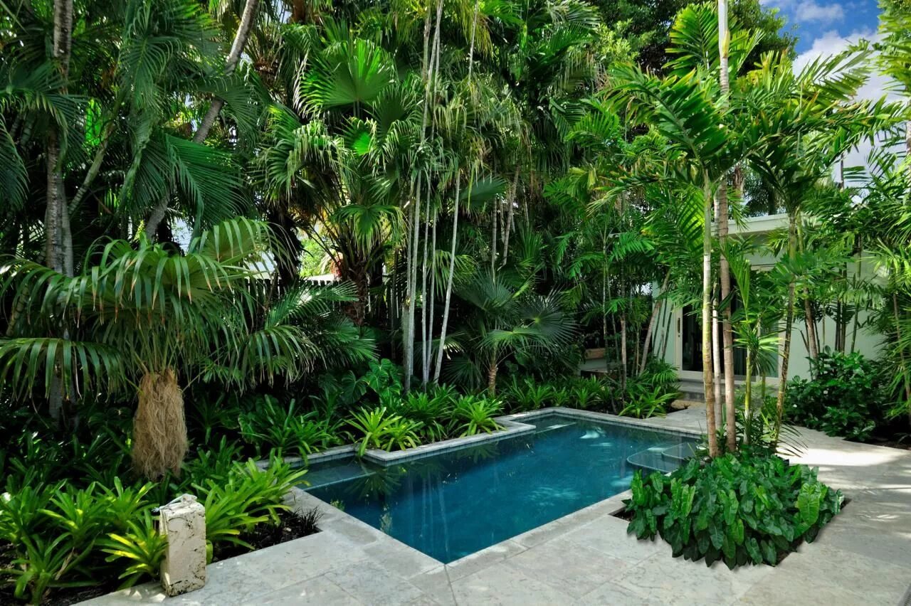 Plant pool. Tropical Garden Батуми. Тропический ландшафт. Тропический дом. Тропический стиль в ландшафте.