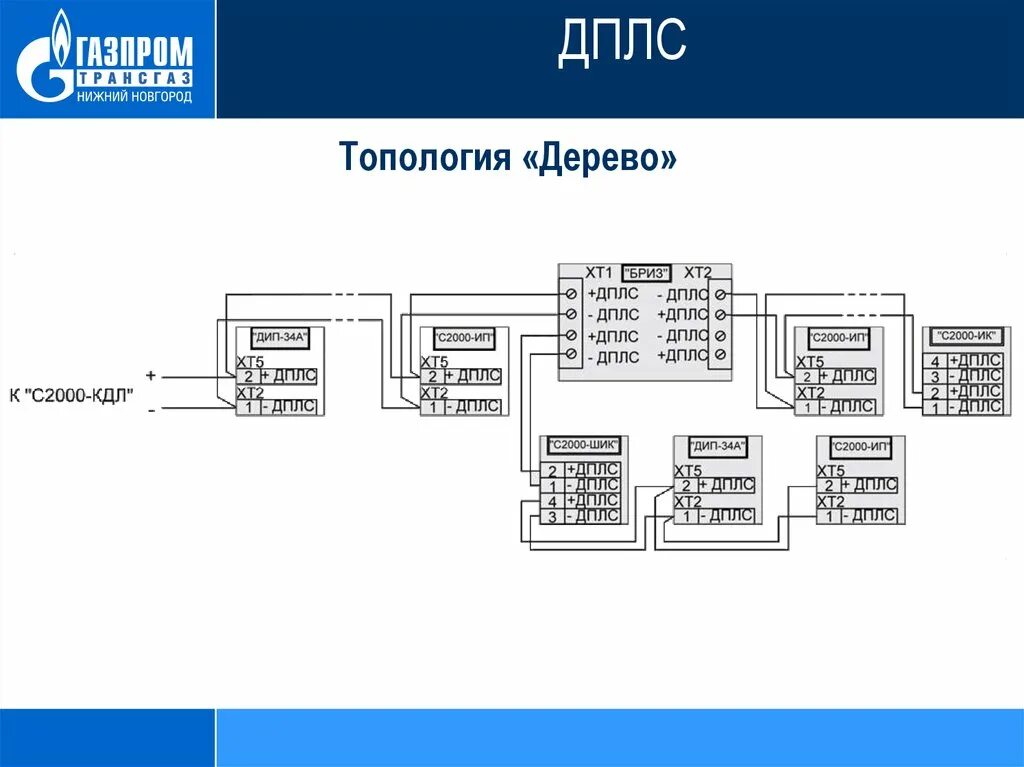 Кдл дплс