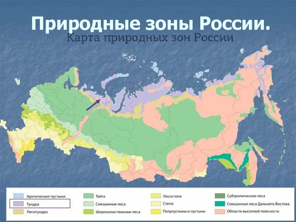 9 зон россии. Природные зоны России карта природных зон России. Карта природных зон России 4 класс. Карта России природные зоны России 4 класс. Карта природных зон России Лесные зоны.