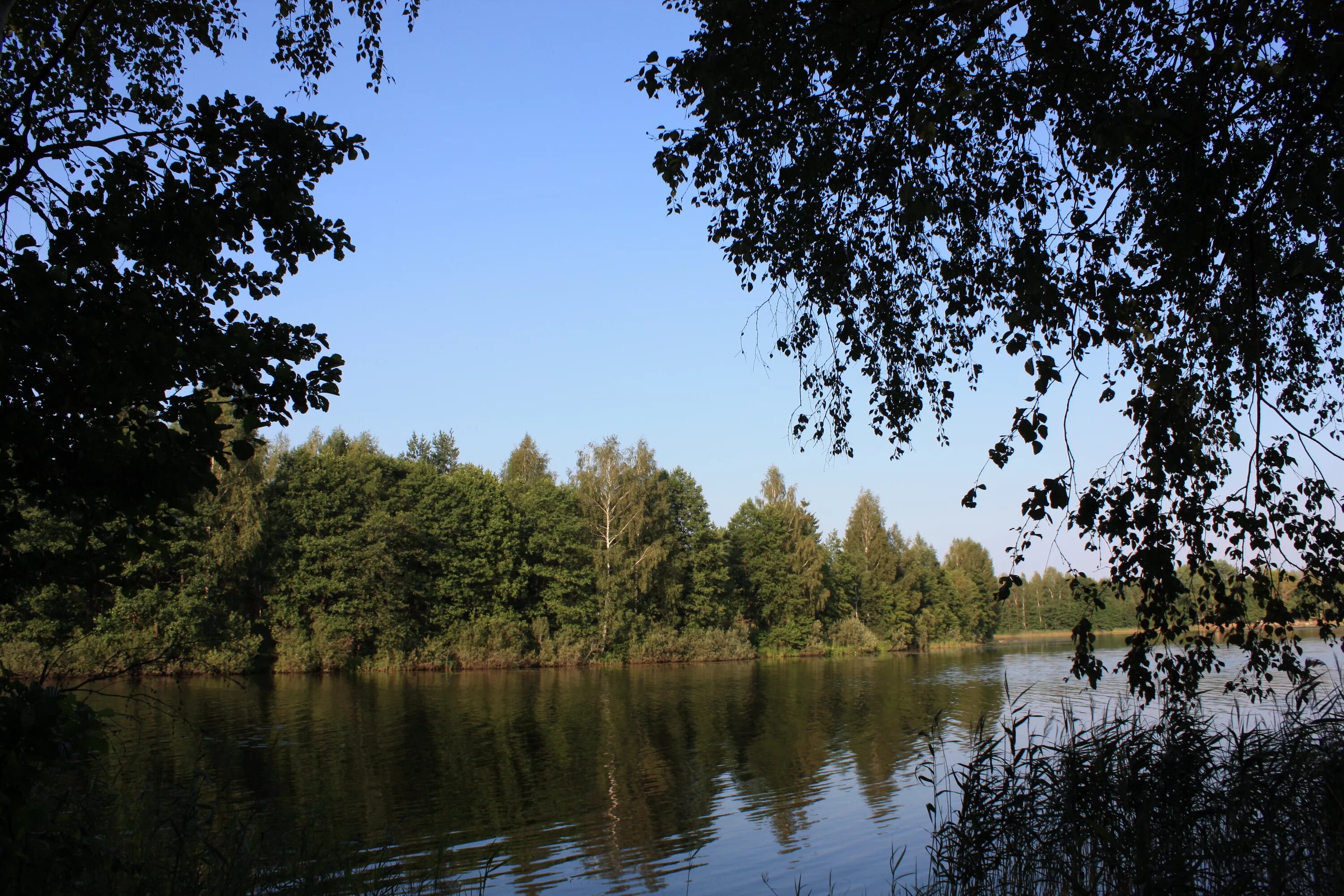 есть черное озеро. есть черное озеро. черное озеро щелково. чёрное озеро щелковский район. чёрное озеро щелковский район.