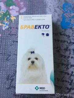 Бравекто инструкция