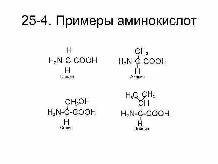 Аминокислоты примеры формул. Аминокислоты примеры формул