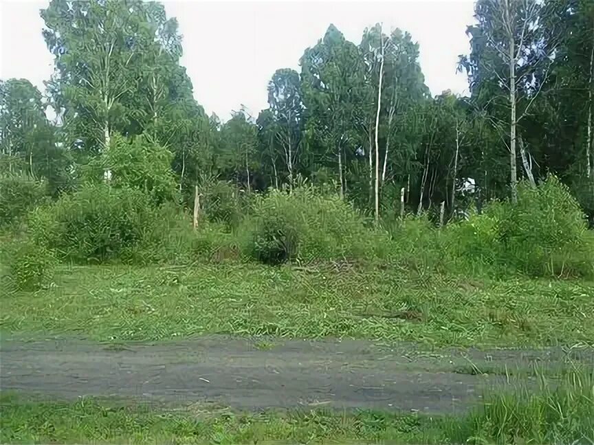 52 участок курган. 52 участок курган. Земельный участок курган 153. Колташево курганская область ул тихие зори 35. 52 участок курган.