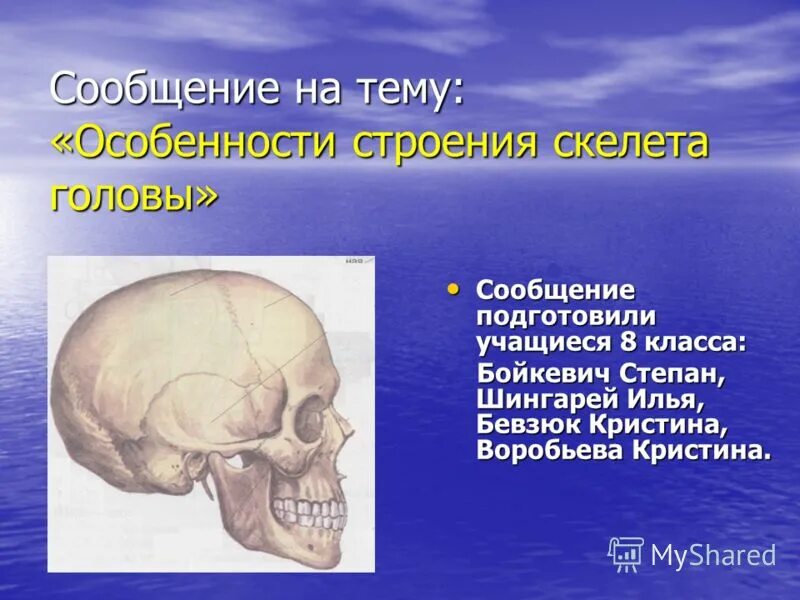 кости черепа защищают. кости черепа анатомия. скелет головы 9 класс биология. скелет головы человека с названием костей. скелет черепа человека анатомия.